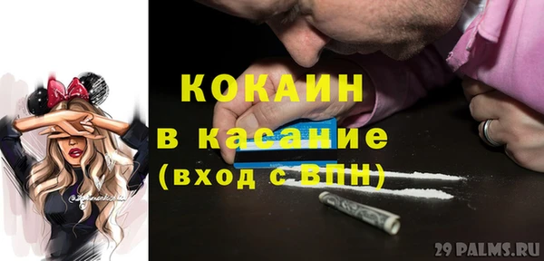 твердый Арсеньев