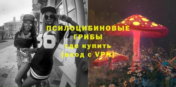 твердый Арсеньев