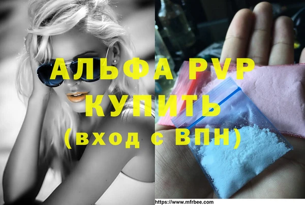 твердый Арсеньев