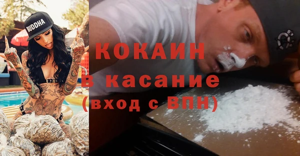 твердый Арсеньев