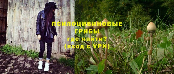 шишки Алексин