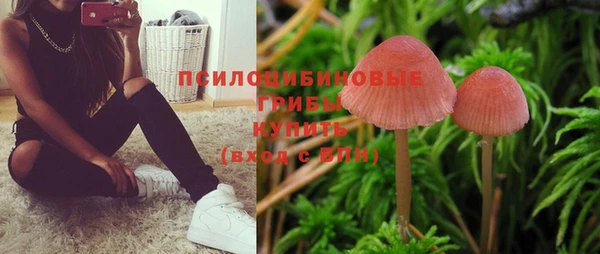 дмт Армянск